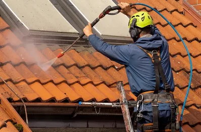 Démoussage et hydrofuge de toiture à Blanot